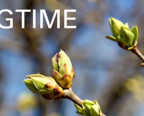 Springtime Hair Care Guide from Mas Newen