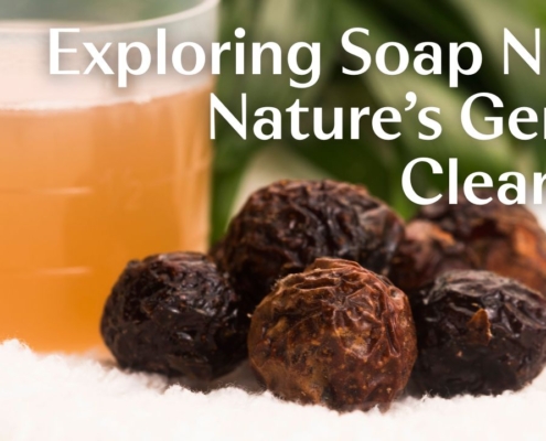 Exploring Soap Nuts: Nature’s Gentle Cleanser